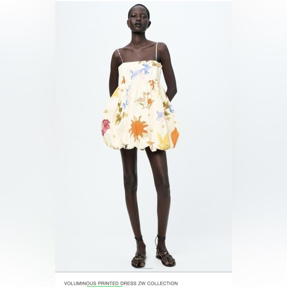 Zara Multicolor Floral Mini Dress